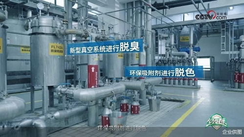 央視網走進多力安心工廠 探尋降低油煙技術專利奧秘，見證健康廚房技術推廣